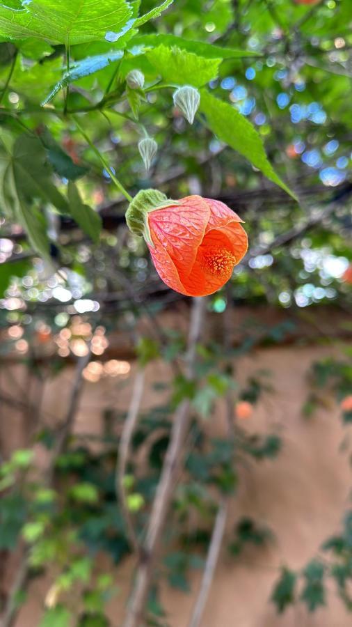 Campus Residencias Bed & Breakfast Quito Bagian luar foto